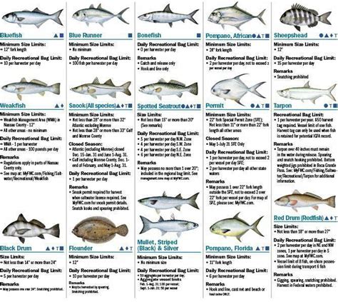 nc fishing regulations saltwater|Recreational Size and Bag Limits .